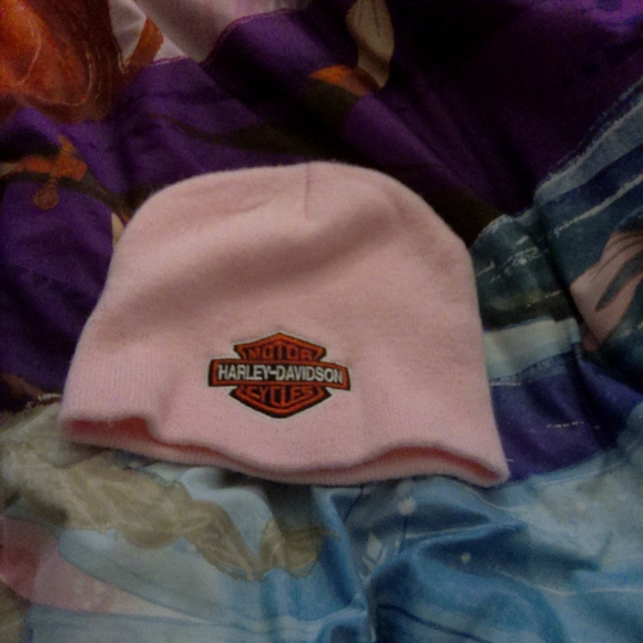 Unlisted Accessories - Nwot Harley-Davidson toboggan